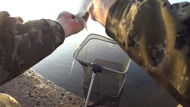 Эти бойлы заработали когда клёв закончился! Карась и лещ на фидер на водохранилище смотреть онлайн