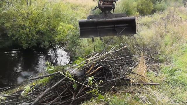 Удаляем Две Бобровые плотины смотреть онлайн