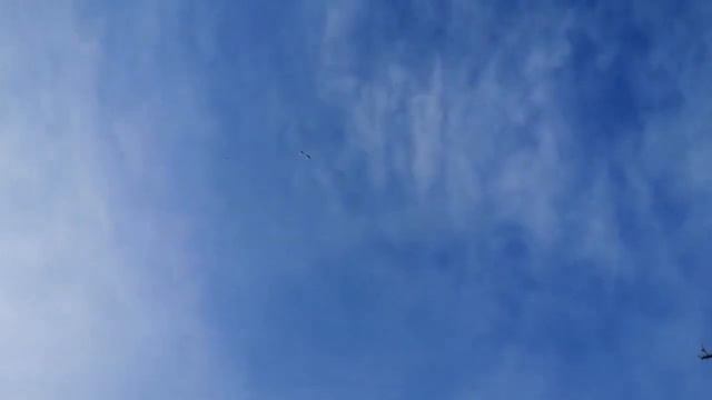 Мелитопольские голуби. С Рождеством! Добра и любви всем... смотреть онлайн