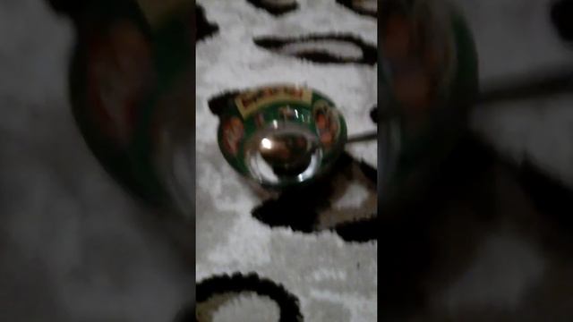 О бабочке Тройдес и о том как содержать бабочек дома смотреть онлайн