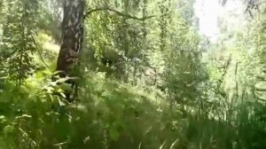 Россия,Республика Татарстан,Бавлинский район,село Поповка