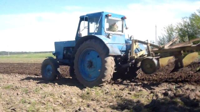 Пашу огород на тракторе МТЗ 50 смотреть онлайн