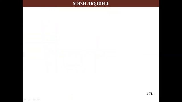 МЯЗИ ЛЮДИНИ