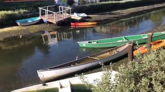 Венис, Калифорния, какая там красота? Это маленькая Венеция! смотреть онлайн