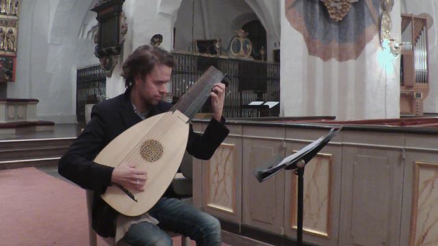 Jan Antonin Losy- Menuet. Magnus Andersson-Baroque Lute смотреть онлайн