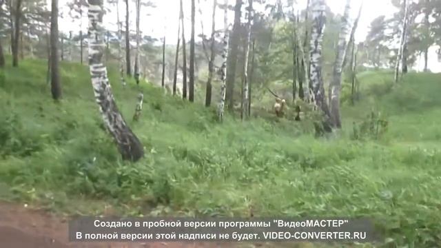 Как проехать на большие притесы реки Ай. Как проехать на пещеру Кургазак и на сухие водопады. смотреть онлайн