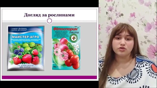 Особливості вирощування суниці 