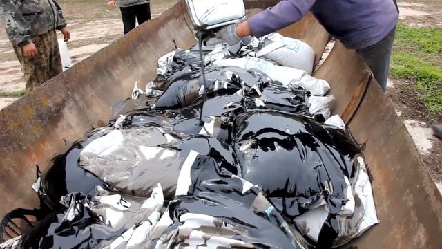 Под контролем Управления Россельхознадзора уничтожены семена, зараженные карантинным сорняком смотреть онлайн