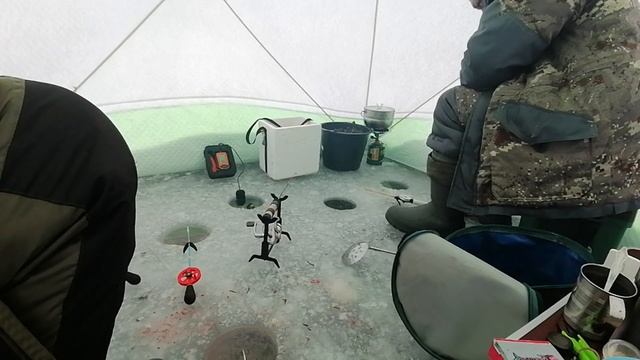 Можайское водохранилище. Глухозимье, давление 725-728. А рыбка поклевывает. смотреть онлайн