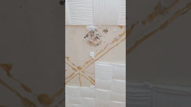 как проводиться электро проводка под натяжным потолком смотреть онлайн