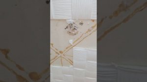 как проводиться электро проводка под натяжным потолком