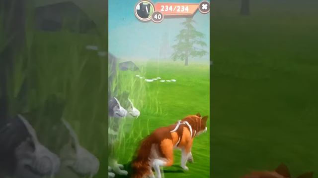 История Гея в Wild craft серия 2 смотреть онлайн