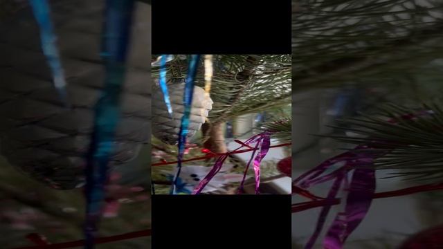 16-01-2024 смотреть онлайн