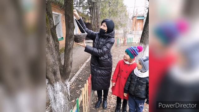 Экологическая неделя доброты в старшей группе "АБВГДЕЙКА" смотреть онлайн