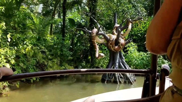 Disney World Tour: Magic Kingdom Vlog | Диснейленд Орландо ,Флорида . смотреть онлайн