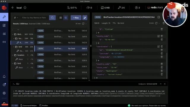 Do Birds Dream in JSON? смотреть онлайн