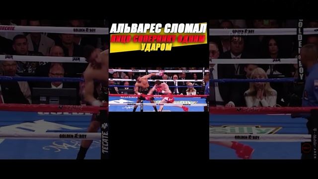 ЛОЖНЫЙ УДАР ОТ САУЛ АЛВАРЕСА! смотреть онлайн