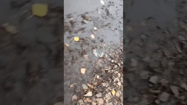 Забросили монитор за 5000₽ смотреть онлайн