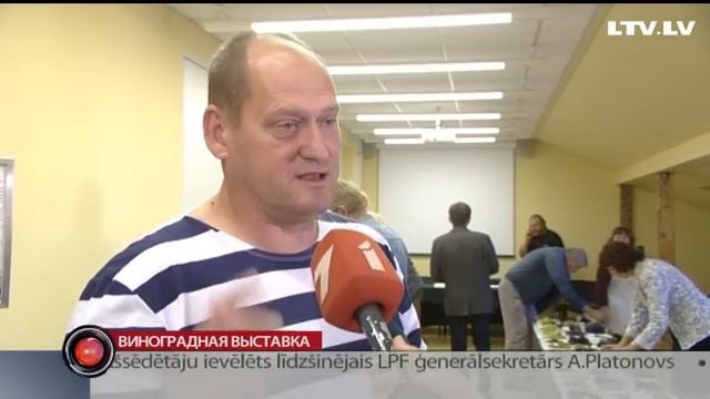 Виноградная выставка смотреть онлайн