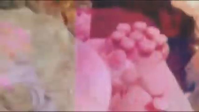 Спецпроект "Свадебный переполох" на выставке-продаже "Формула Рукоделия Москва. Весна 2015" смотреть онлайн