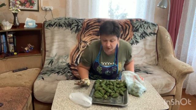 Шишки/Чабрец/Жуки/Репортаж дня/ смотреть онлайн