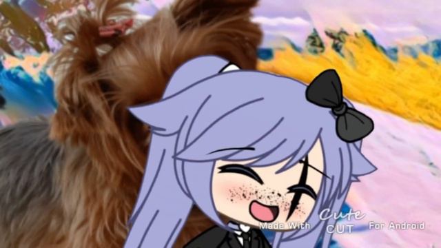 Меме "Почему тебя называют солнышко?" #гачалайф #GachaLife #GACHALIFE #ГАЧАЛАЙФ смотреть онлайн