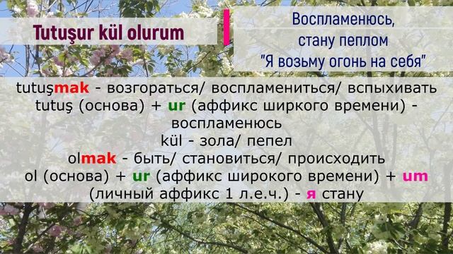 Турецкий по песням _ #55 Edis - Çok Çok - 297 день смотреть онлайн