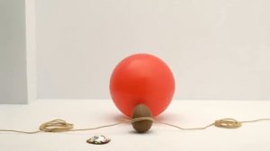 Cadbury's Creme Egg - Here Today, Goo Tomorrow (2008, UK)