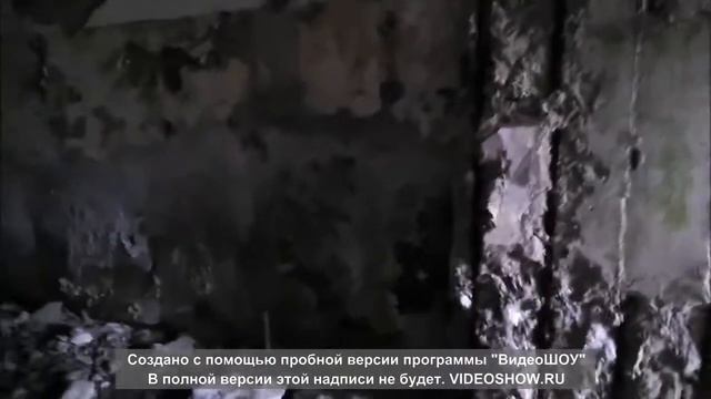 Делать было нечего,поехали за грибами мы до вечера!!!!! Часть 1. смотреть онлайн