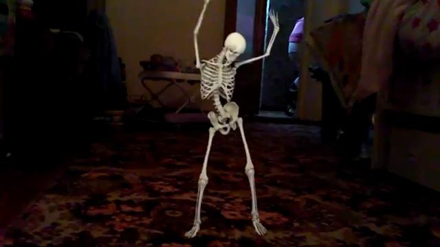 Скелет у меня дома!!! смотреть онлайн