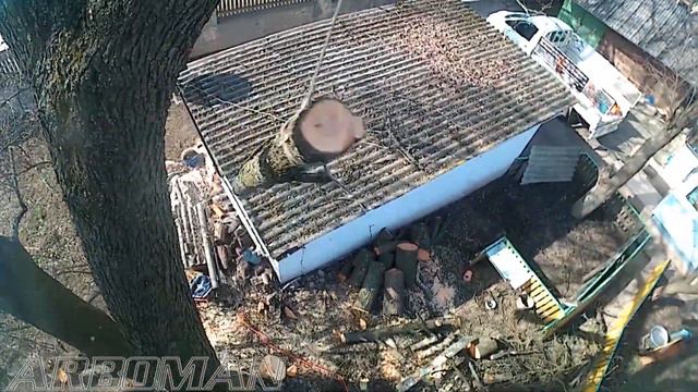 Срезаем кучерявую грушу в Коростышеве Cutting a bushy pear смотреть онлайн