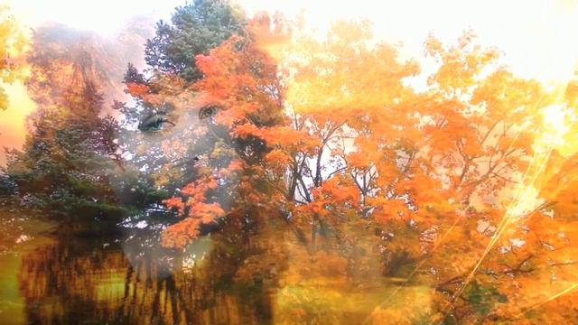 💖🍁 СЕРГЕЙ АЛЬБИН - ОСЕНЬ - КРАСИВАЯ БАЛЛАДА О ЛЮБВИ - НЕ СБЫЛОСЬ... 🍁💖 смотреть онлайн