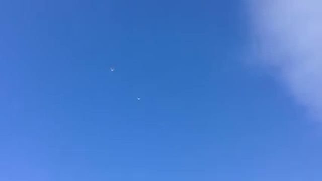 Голуби у Виктора-29(г. Бронницы МО)8-906-727-22-43 смотреть онлайн