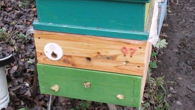 про расположение летков у ульев - на какую сторону света лучше располагать смотреть онлайн