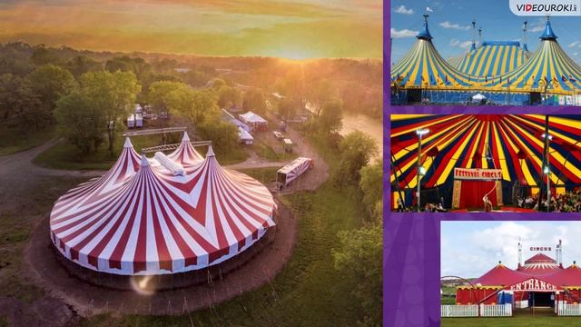 Видеоурок для классного часа «Всемирный день цирка»