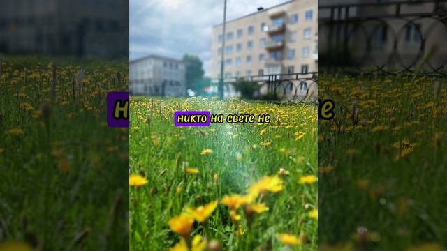 Мир очень опасное и жёсткое место...