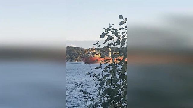 2 октября 2021 прогулка у реки, жизнь в Канаде смотреть онлайн