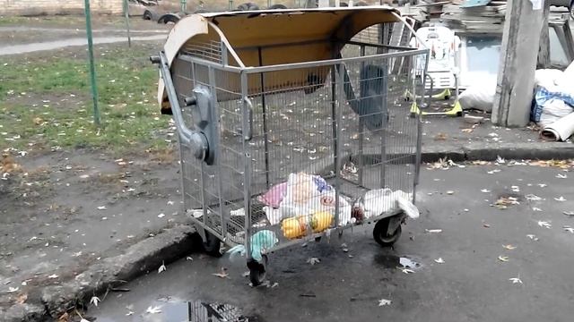 Мусорный контейнер 1100 литров сетчатый для пластика смотреть онлайн