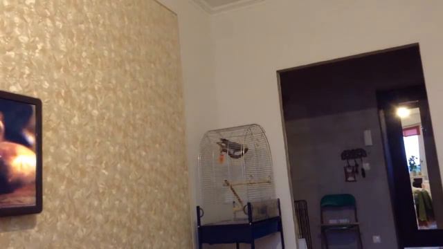 Гоша жако первые слова смотреть онлайн