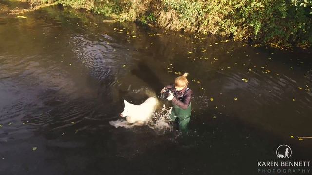 Karen Bennett Photography смотреть онлайн