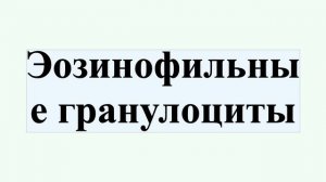 Эозинофильные гранулоциты