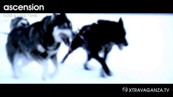 Ascension For A Life Time