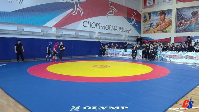 Чемпионат СКФО 2024. Панкратион. Ковёр 3. День 2 смотреть онлайн