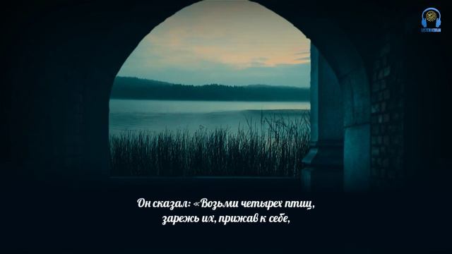 АбдурРахман Усси- Сура 2 «Аль-Бакара» (Корова), Аяты 258-264 смотреть онлайн
