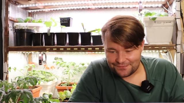 ЗИМНИЙ ОГОРОД - почему не растут #огурцы, опадают завязи. Как бороться с насекомыми и многое другое