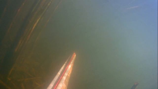 Нашёл ТРУП на подводной охоте смотреть онлайн