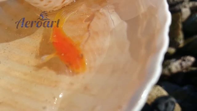 Рыбка в эпоксидной смоле смотреть онлайн