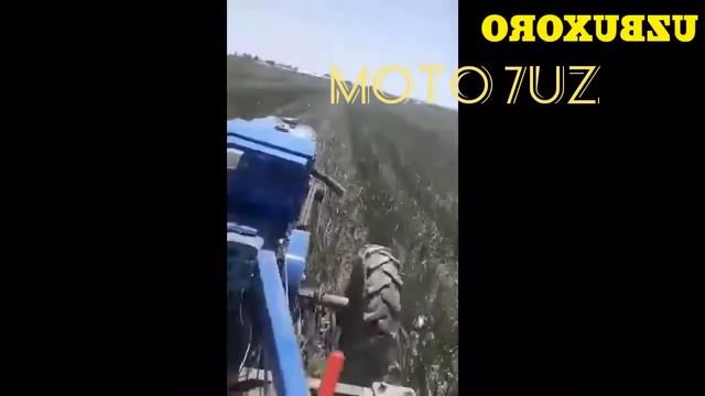 Motoblok Zubr 15 ot kuchli Kultuvatsa смотреть онлайн