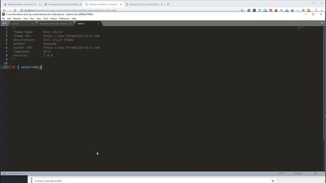 Ajouter du CSS personnalisé à Divi WordPress смотреть онлайн