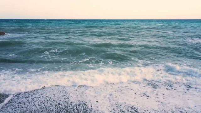 Оголодавший хищник решил полакомиться свежим мяском, но отступил завидев его смотреть онлайн